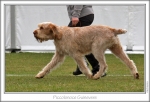 Filename=P-Guinevere-2.jpg
Filesize=212KiB
Dimensions=863x590
Date added=Sep 18, 2011 P-Guinevere-2.jpg