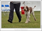 Filename=P-Pandemonium-2.jpg
Filesize=219KiB
Dimensions=865x633
Date added=Sep 18, 2011 P-Pandemonium-2.jpg