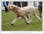 Filename=R-LittleSister-4.jpg
Filesize=227KiB
Dimensions=867x682
Date added=Sep 18, 2011 R-LittleSister-4.jpg