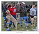 Filename=Spectators-1.jpg
Filesize=188KiB
Dimensions=871x776
Date added=Sep 18, 2011 Spectators-1.jpg