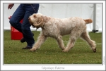 Filename=T-Balena-2.jpg
Filesize=186KiB
Dimensions=863x583
Date added=Sep 18, 2011 T-Balena-2.jpg