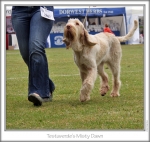 Filename=T-MistyDawn-4.jpg
Filesize=174KiB
Dimensions=654x620
Date added=Sep 18, 2011 T-MistyDawn-4.jpg