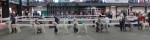 Dog Lineup.jpg
