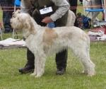 L-Knockdhu.JPG