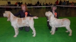 Filename=BOB and BOS.jpg
Filesize=46KiB
Dimensions=605x335
Date added=Sep 18, 2011 BOB and BOS.jpg