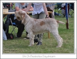 Filename=B-Daydream.jpg
Filesize=222KiB
Dimensions=954x736
Date added=Sep 18, 2011 B-Daydream.jpg
