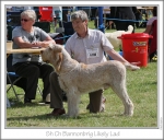 Filename=B-LikelyLad.jpg
Filesize=205KiB
Dimensions=849x730
Date added=Sep 18, 2011 B-LikelyLad.jpg