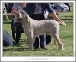 Filename=C-Cesario.jpg
Filesize=217KiB
Dimensions=893x733
Date added=Sep 18, 2011 C-Cesario.jpg