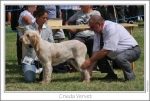 Filename=C-Vervet.jpg
Filesize=217KiB
Dimensions=1095x743
Date added=Sep 18, 2011 C-Vervet.jpg