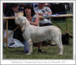 Filename=D-AmazingGrace.jpg
Filesize=166KiB
Dimensions=843x729
Date added=Sep 18, 2011 D-AmazingGrace.jpg
