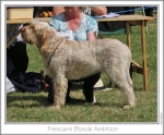 Filename=F-BlondeAmbition.jpg
Filesize=215KiB
Dimensions=880x733
Date added=Sep 18, 2011 F-BlondeAmbition.jpg