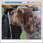 Filename=F-IMNoAngel3.jpg
Filesize=227KiB
Dimensions=721x724
Date added=Sep 18, 2011 F-IMNoAngel3.jpg