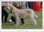 Filename=G-Jana.jpg
Filesize=191KiB
Dimensions=1008x738
Date added=Sep 18, 2011 G-Jana.jpg
