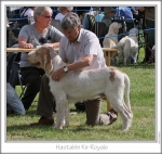 Filename=H-KirRoyale.jpg
Filesize=191KiB
Dimensions=764x725
Date added=Sep 18, 2011 H-KirRoyale.jpg