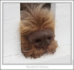 Filename=M-Murdoch1.jpg
Filesize=222KiB
Dimensions=765x725
Date added=Sep 18, 2011 M-Murdoch1.jpg