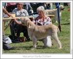 Filename=M-StellaDiMare.jpg
Filesize=219KiB
Dimensions=913x734
Date added=Sep 18, 2011 M-StellaDiMare.jpg
