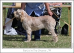Filename=Netis-InTheGroove.jpg
Filesize=224KiB
Dimensions=1026x739
Date added=Sep 18, 2011 Netis-InTheGroove.jpg