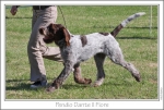 Filename=P-DanteliFiore2.jpg
Filesize=208KiB
Dimensions=1091x741
Date added=Sep 18, 2011 P-DanteliFiore2.jpg
