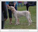 Filename=R-Cherriecola.jpg
Filesize=214KiB
Dimensions=854x730
Date added=Sep 18, 2011 R-Cherriecola.jpg