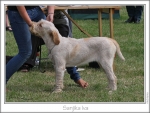 Filename=S-Iva.jpg
Filesize=232KiB
Dimensions=972x737
Date added=Sep 18, 2011 S-Iva.jpg