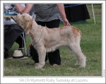 Filename=W-RubyTuesday.jpg
Filesize=189KiB
Dimensions=924x734
Date added=Sep 18, 2011 W-RubyTuesday.jpg