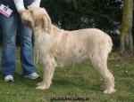 Filename=C-Claricia.JPG
Filesize=138KiB
Dimensions=750x578
Date added=Feb 23, 2013 C-Claricia.JPG