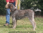 Filename=H-BetteDavisEyes.JPG
Filesize=160KiB
Dimensions=750x578
Date added=Feb 23, 2013 H-BetteDavisEyes.JPG