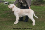 Filename=B-AtomicKitten.jpg
Filesize=126KiB
Dimensions=750x508
Date added=Sep 18, 2011 B-AtomicKitten.jpg