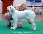 Filename=B-BonaMarta.jpg
Filesize=114KiB
Dimensions=654x523
Date added=Sep 18, 2011 B-BonaMarta.jpg