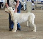 Filename=B-Streyga.jpg
Filesize=350KiB
Dimensions=700x641
Date added=Sep 18, 2011 B-Streyga.jpg