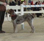 Dateiname=L-Niamh.jpg
Dateigröße=331KB
Abmessungen: 700x651
hinzugefügt am: 18. September 2011 L-Niamh.jpg
