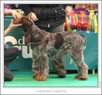 Filename=C-Laurona.jpg
Filesize=189KiB
Dimensions=982x915
Date added=Sep 18, 2011 C-Laurona.jpg