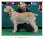Filename=F-RoccaChe.jpg
Filesize=145KiB
Dimensions=980x872
Date added=Sep 18, 2011 F-RoccaChe.jpg