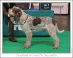Filename=G-Anteros.jpg
Filesize=141KiB
Dimensions=976x774
Date added=Sep 18, 2011 G-Anteros.jpg