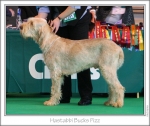 Filename=H-BucksFizz.jpg
Filesize=165KiB
Dimensions=979x827
Date added=Sep 18, 2011 H-BucksFizz.jpg