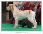 Filename=H-KirRoyale.jpg
Filesize=154KiB
Dimensions=976x782
Date added=Sep 18, 2011 H-KirRoyale.jpg