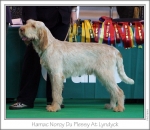 Filename=Hamac-NoroyDuPlessy.jpg
Filesize=166KiB
Dimensions=979x849
Date added=Sep 18, 2011 Hamac-NoroyDuPlessy.jpg