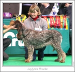 Dateiname=J-Phoebe.jpg
Dateigröße=244KB
Abmessungen: 983x946
hinzugefügt am: 18. September 2011 J-Phoebe.jpg