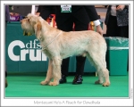 Filename=M-HesAPeach.jpg
Filesize=157KiB
Dimensions=976x787
Date added=Sep 18, 2011 M-HesAPeach.jpg