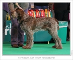 Filename=M-JustWilliam.jpg
Filesize=169KiB
Dimensions=977x800
Date added=Sep 18, 2011 M-JustWilliam.jpg