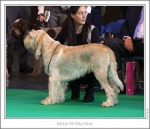 Filename=N-AllRiteNow.jpg
Filesize=160KiB
Dimensions=979x842
Date added=Sep 18, 2011 N-AllRiteNow.jpg
