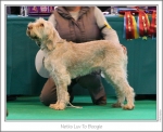 Filename=N-LuvToBoogie.jpg
Filesize=163KiB
Dimensions=977x799
Date added=Sep 18, 2011 N-LuvToBoogie.jpg