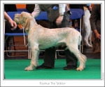 Filename=R-TheTattler.jpg
Filesize=168KiB
Dimensions=978x814
Date added=Sep 18, 2011 R-TheTattler.jpg