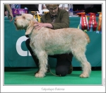 Filename=T-Balena.jpg
Filesize=176KiB
Dimensions=980x861
Date added=Sep 18, 2011 T-Balena.jpg