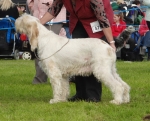 Filename=B-CuttingEdge.jpg
Filesize=378KiB
Dimensions=700x569
Date added=Feb 23, 2013 B-CuttingEdge.jpg
