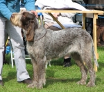 R-Brunella.jpg
