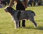 Filename=C-TedBaker.jpg
Filesize=423KiB
Dimensions=700x565
Date added=Feb 24, 2013 C-TedBaker.jpg