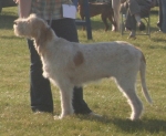 Filename=Rosie.jpg
Filesize=289KiB
Dimensions=700x576
Date added=Feb 24, 2013 Rosie.jpg