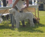 Filename=S-Iva.jpg
Filesize=370KiB
Dimensions=700x576
Date added=Feb 24, 2013 S-Iva.jpg