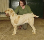 Filename=C-Claricia.JPG
Filesize=67KiB
Dimensions=600x550
Date added=Sep 18, 2011 C-Claricia.JPG
